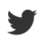 twitter-logo-black
